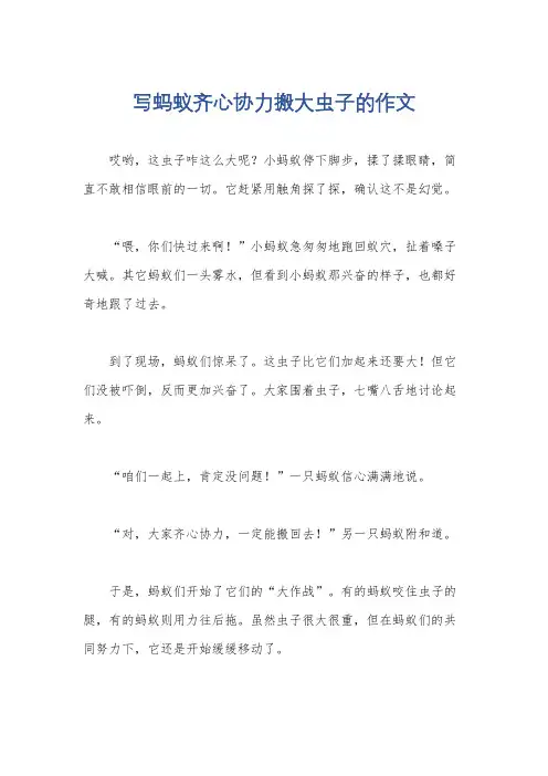 写蚂蚁齐心协力搬大虫子的作文