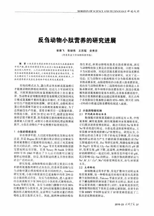 反刍动物小肽营养的研究进展