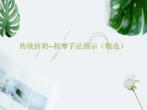 传统挤奶--按摩手法图示(精选)24页PPT