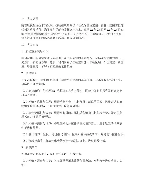 组培实习报告总结