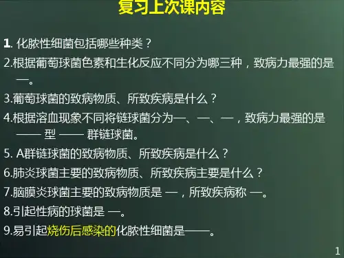 肠道感染细菌