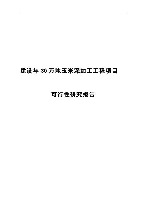 建设年30万吨玉米深加工工程项目可行性研究报告