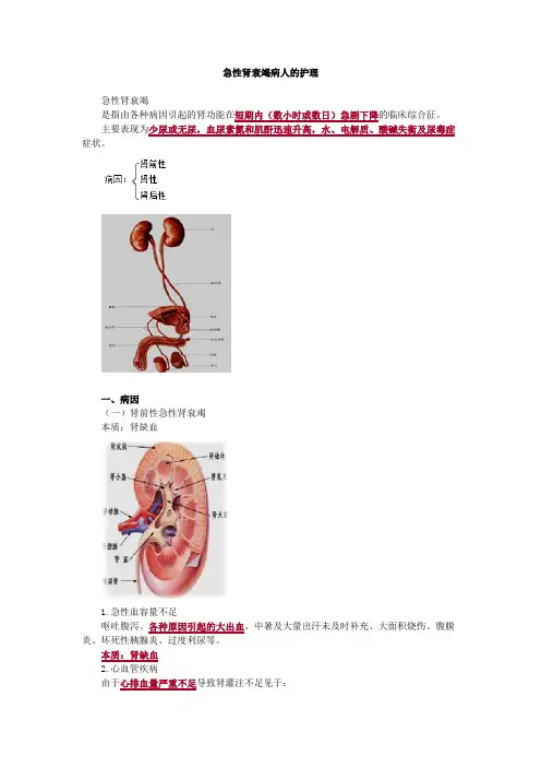 内科护理学-急性肾衰竭病人的护理