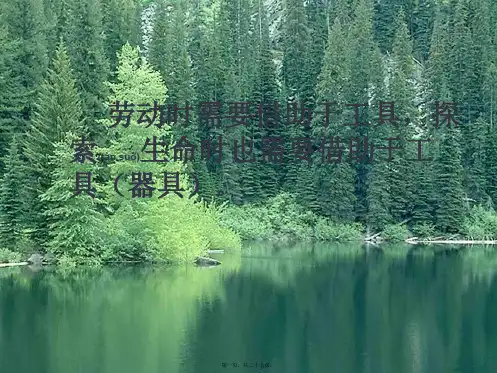 七年级生物上册 1.2.1 探索生命的器具课件1