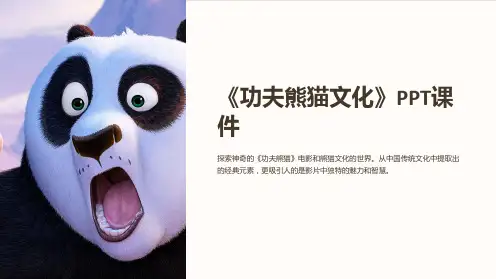 《功夫熊猫文化》课件
