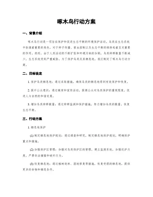 啄木鸟行动方案