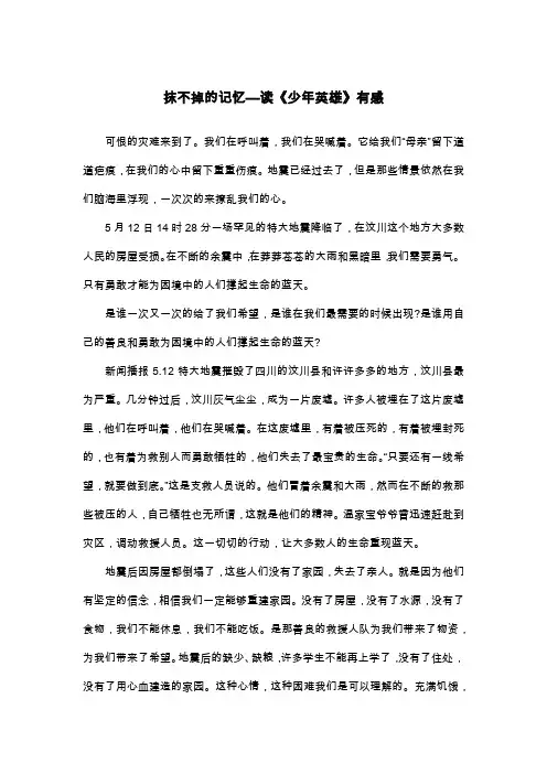 抹不掉的记忆—读《少年英雄》有感_初二读后感
