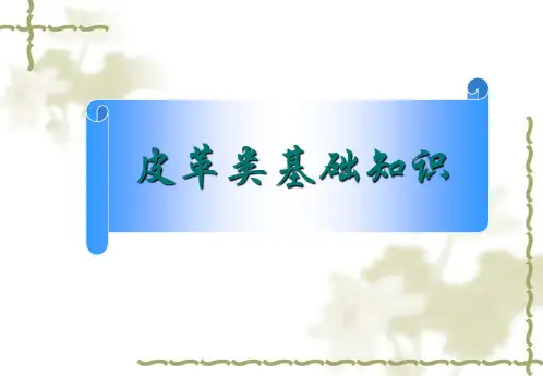 皮革类基础知识