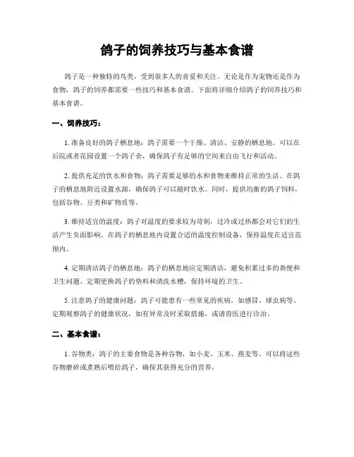 鸽子的饲养技巧与基本食谱