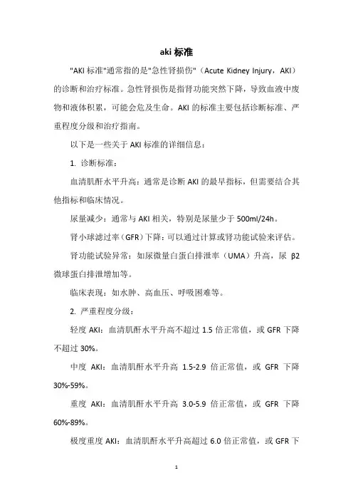 aki标准