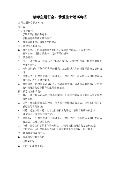 禁毒主题班会,珍爱生命远离毒品