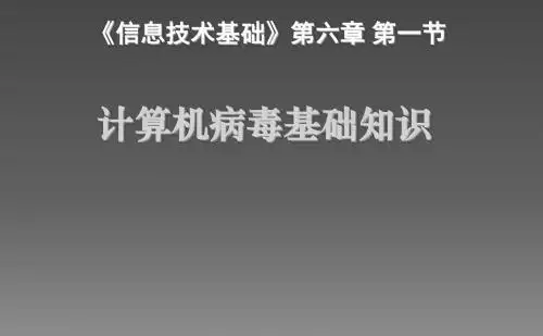 计算机病毒基础知识ppt课件