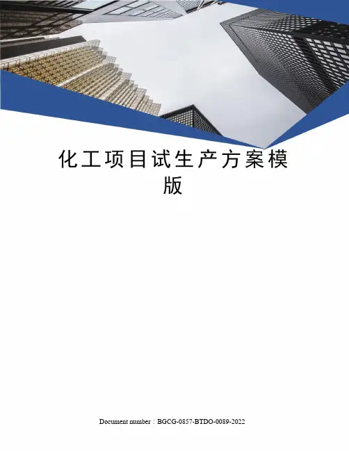 化工项目试生产方案模版