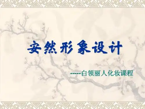 安然白领丽人 课程PPT