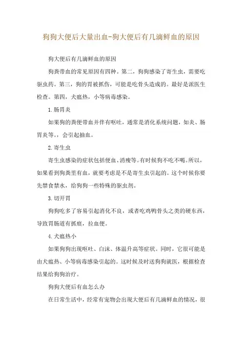 狗狗大便后大量出血-狗大便后有几滴鲜血的原因
