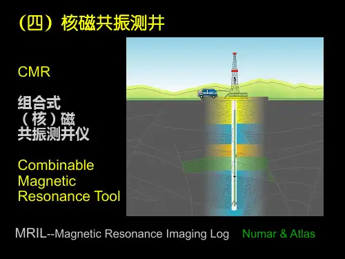《测井储层评价方法》核磁共振测井CMR