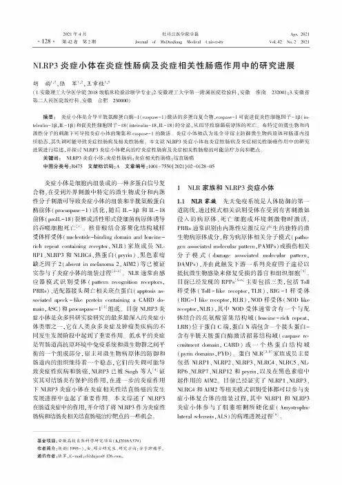 NLRP3炎症小体在炎症性肠病及炎症相关性肠癌作用中的研究进展