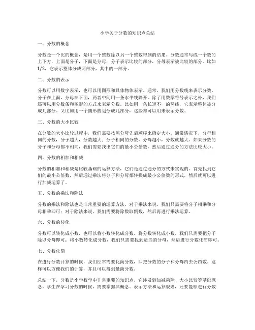 小学关于分数的知识点总结