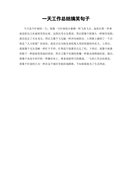 一天工作总结搞笑句子