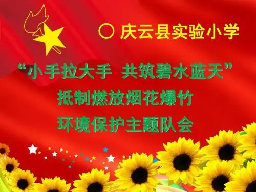 庆云县实验小学抵制燃放烟花爆竹环保主题队会