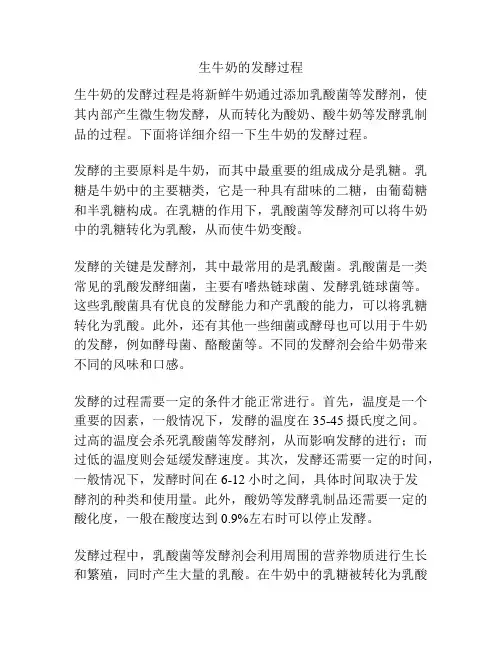 生牛奶的发酵过程