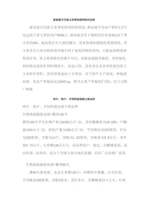 甜高粱可代替玉米等传统饲料的优势