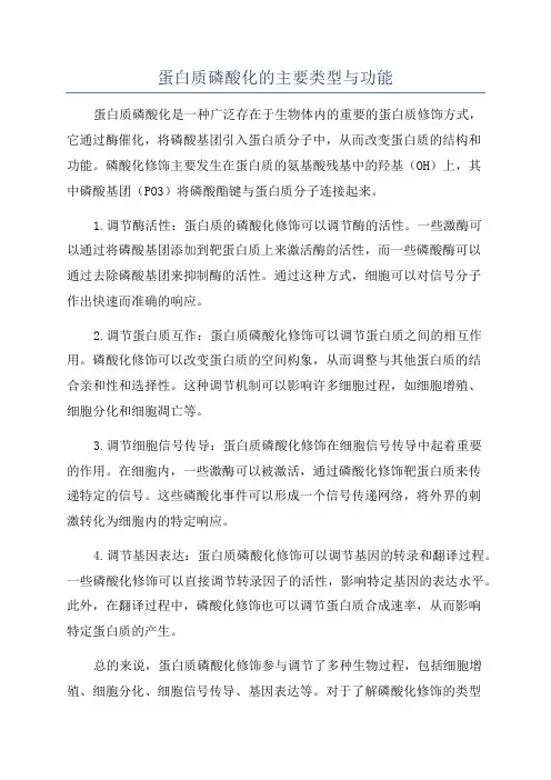 蛋白质磷酸化的主要类型与功能