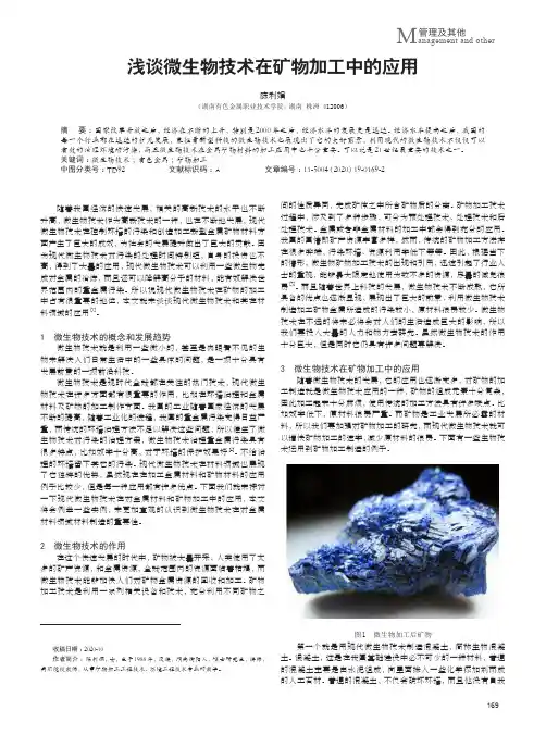 浅谈微生物技术在矿物加工中的应用