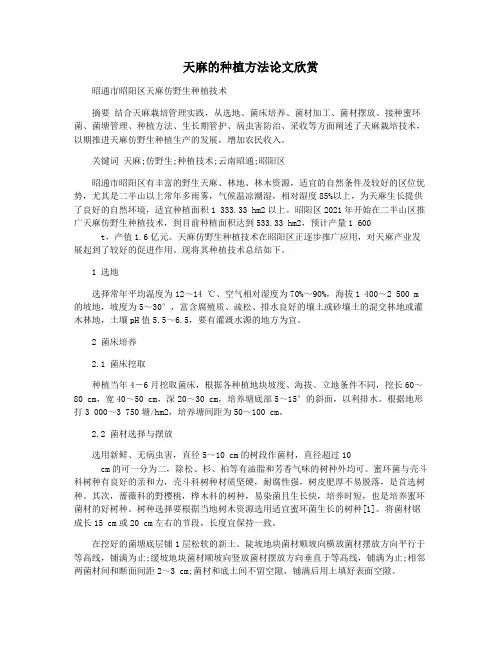 天麻的种植方法论文欣赏