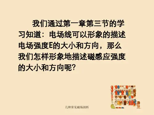 几种常见磁场剖析