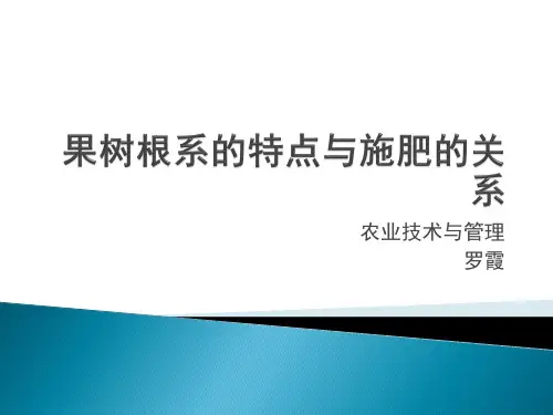 果树根系的特点与施肥的关系