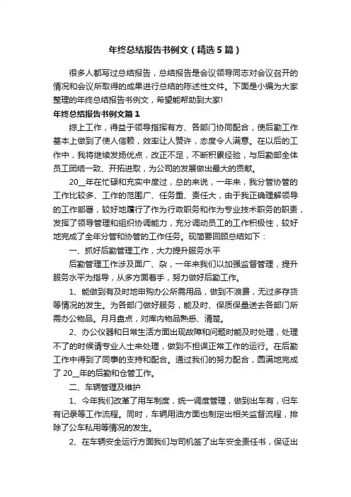 年终总结报告书例文（精选5篇）
