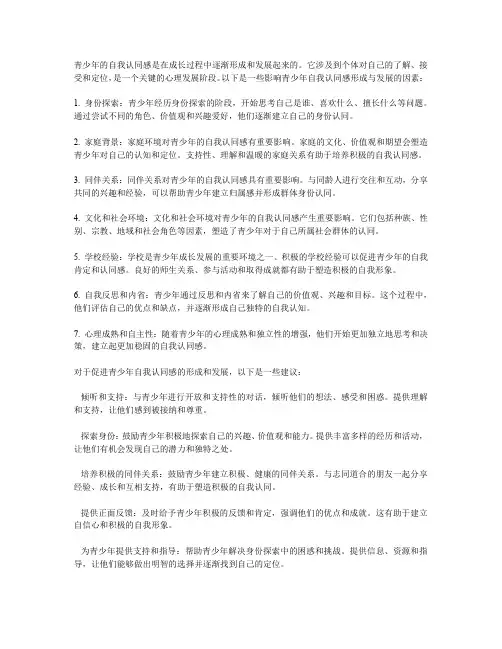 青少年自我认同感的形成与发展