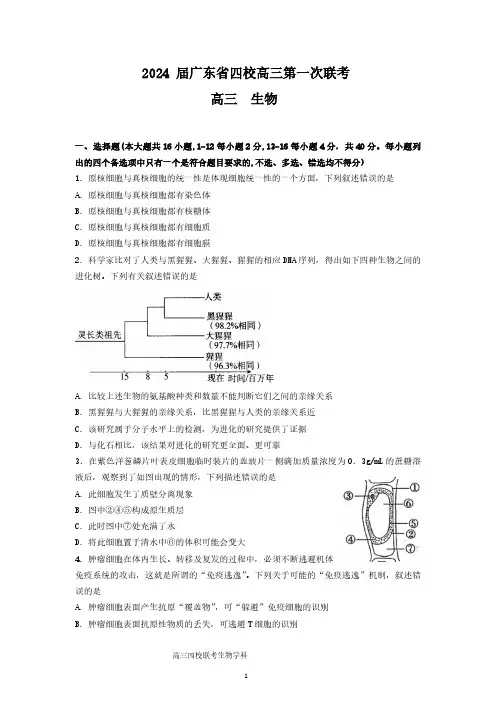 2024届广东省四校高三8月联考生物试题及答案