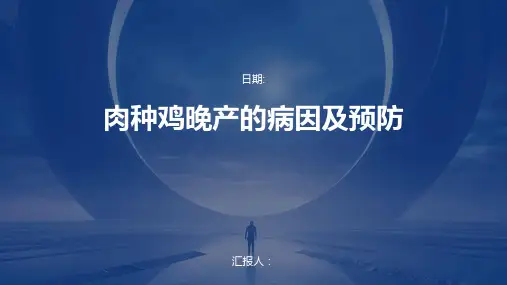 肉种鸡晚产的病因及预防