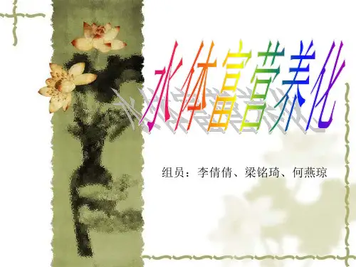 水体富营养化标准