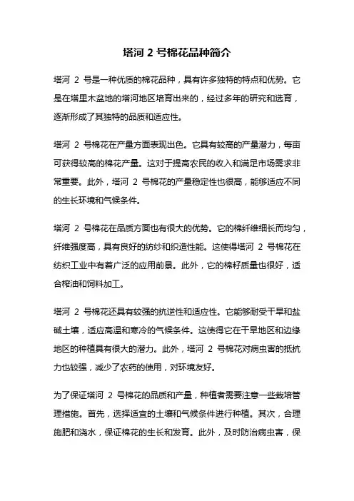 塔河2号棉花品种简介