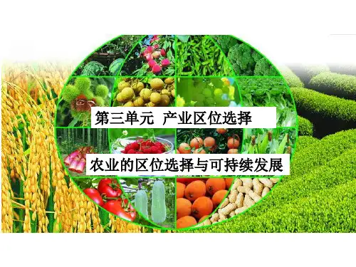 鲁教版 必修2 高中地理 3.1农业的区位选择与可持续发展 课件（29张PPT）