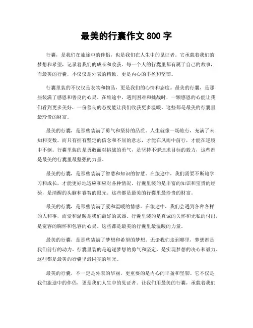 最美的行囊作文800字