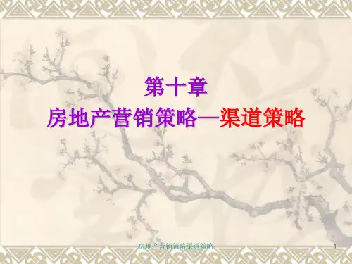 房地产营销策略渠道策略课件