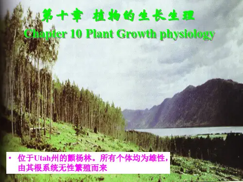第七章 植物的生长与发育