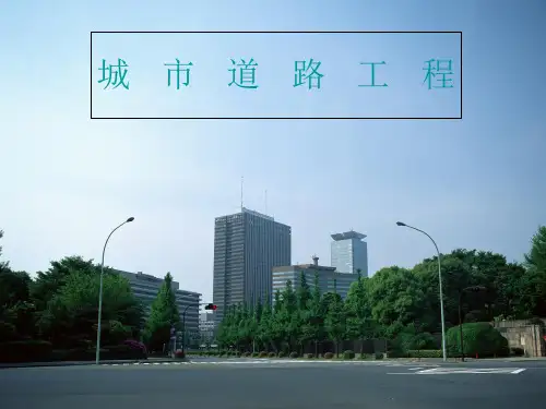 水泥路面病害及防治 ppt课件