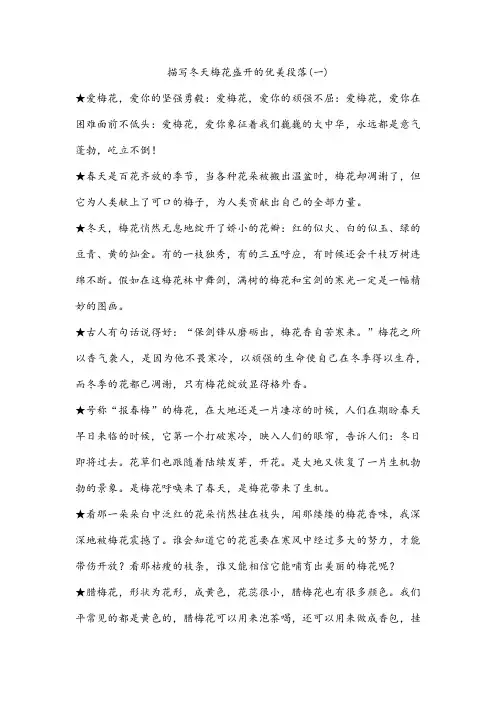描写冬天梅花盛开的优美段落(一)