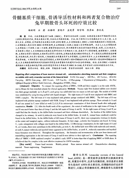 骨髓基质干细胞、骨诱导活性材料和两者复合物治疗兔早期股骨头坏死的疗效比较