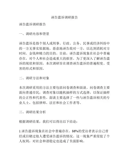 诬告滥诉调研报告
