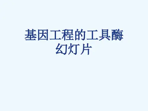 基因工程的工具酶幻灯片