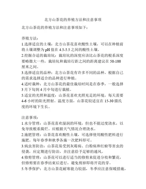 北方山茶花的养殖方法和注意事项