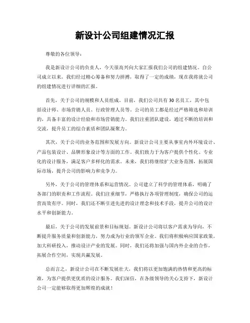 新设计公司组建情况汇报