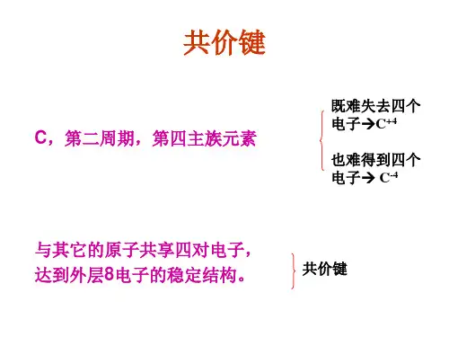 价键理论