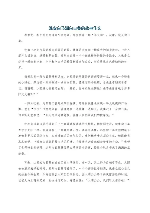 淮安白马湖向日葵的故事作文